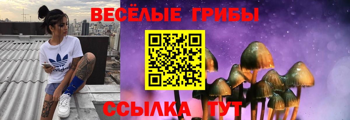 Галлюциногенные грибы мицелий  Вход с VPN  Владикавказ 